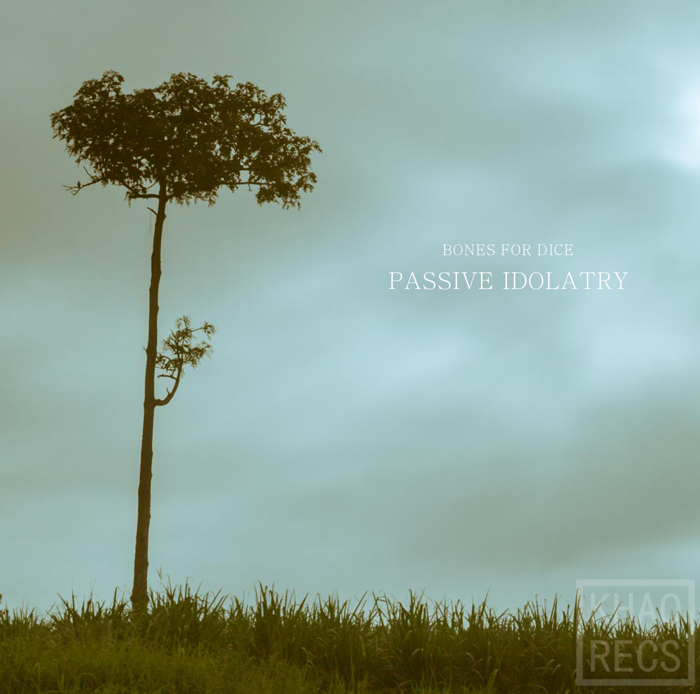 Passive Idolatry cover